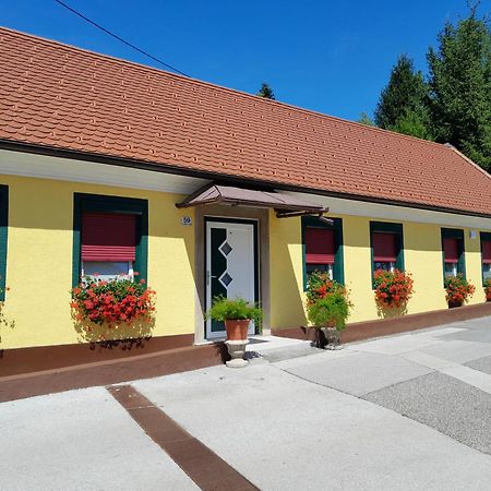 Hotel Pri Belokranjcu Novo Mesto Bagian luar foto