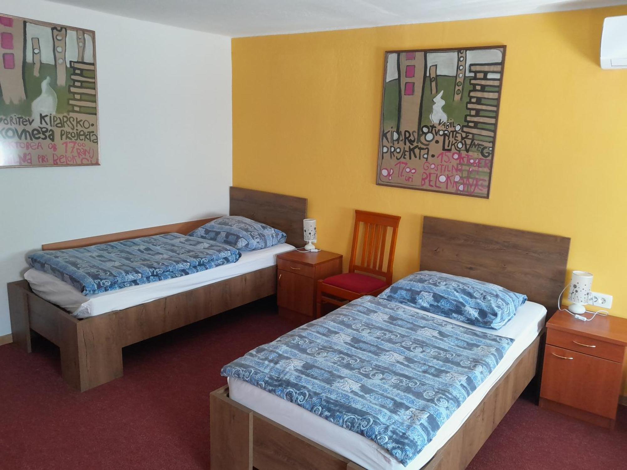 Hotel Pri Belokranjcu Novo Mesto Bagian luar foto