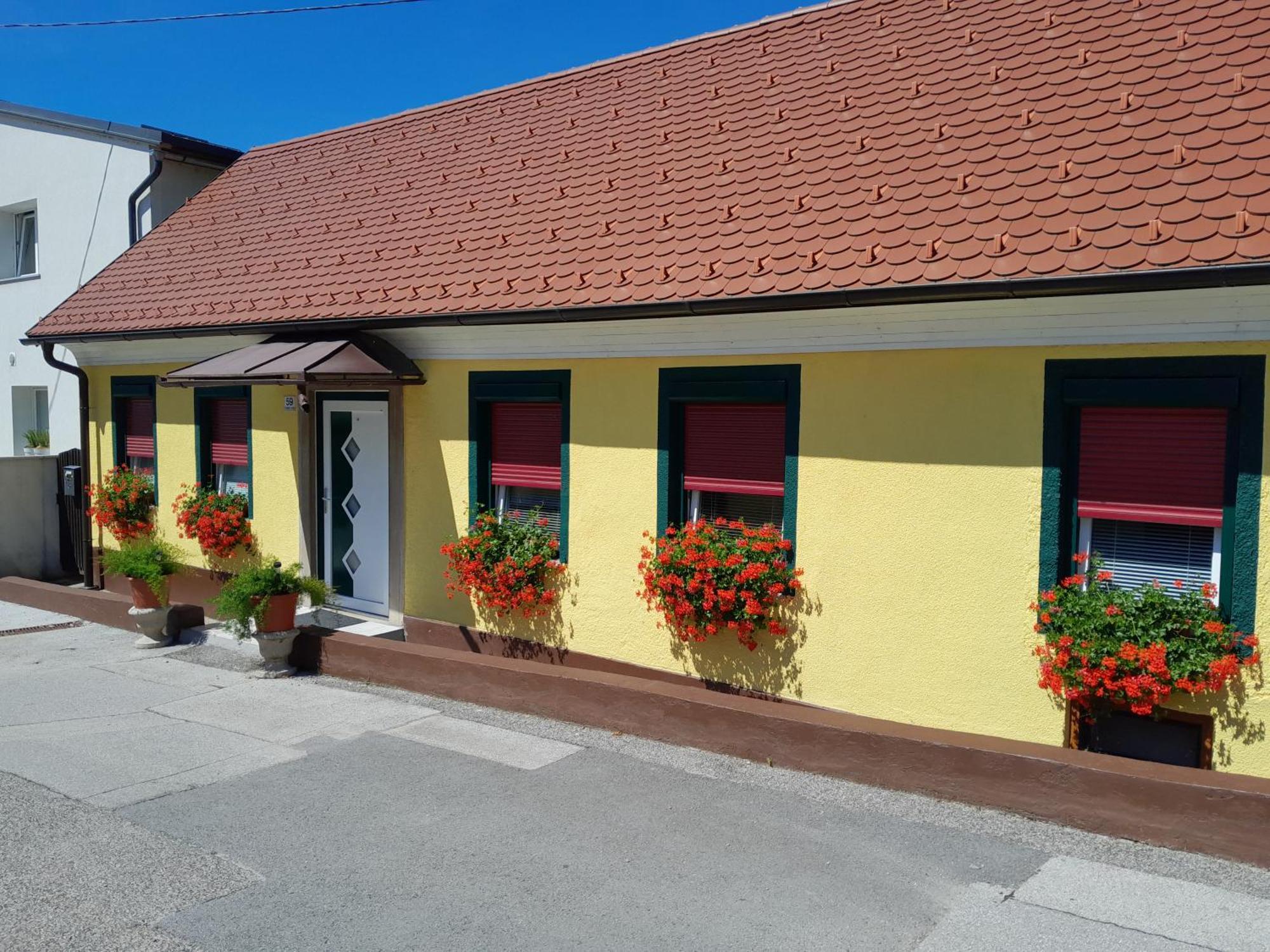 Hotel Pri Belokranjcu Novo Mesto Bagian luar foto
